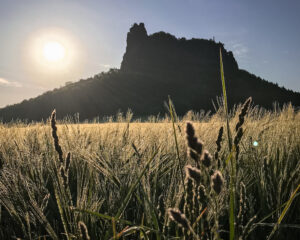 Lilienstein_Königstein_Sächsische Schweiz_DieWeltgeniesser