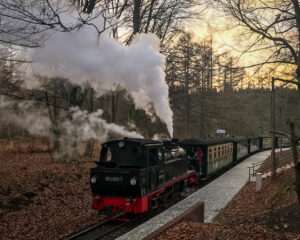 Schmalspurbahn "Rasender Roland"