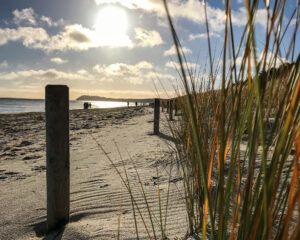 Strand Mönchgut